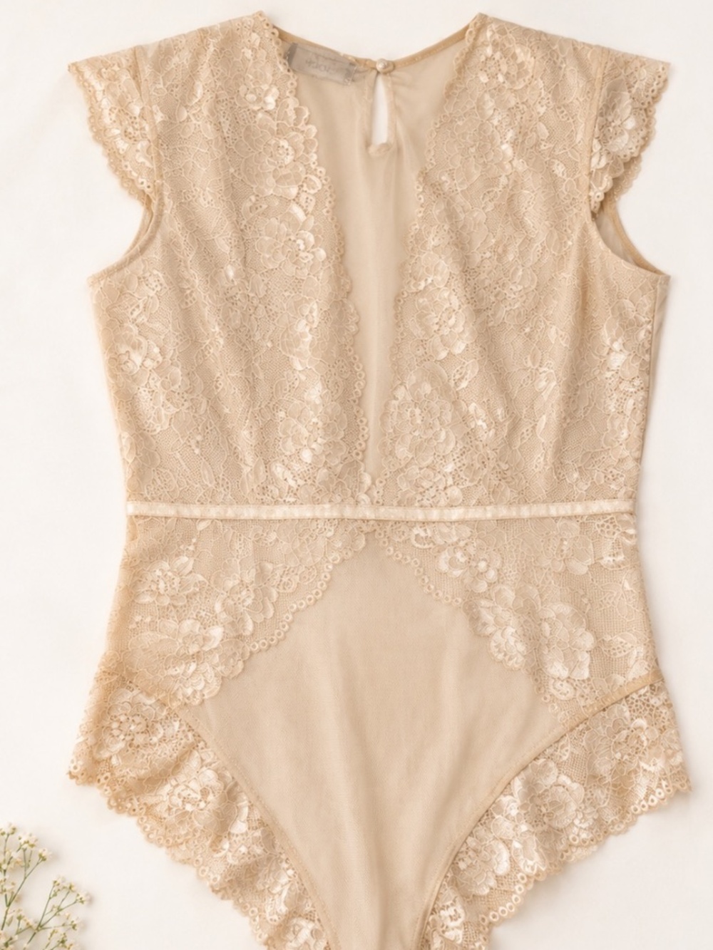 CIDER Beige Floral Lace Plunge Bodysuit Size Medium